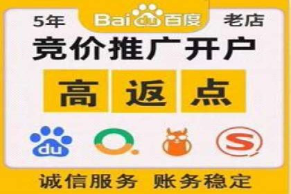 案例分析：成功SEM托管策略全解析